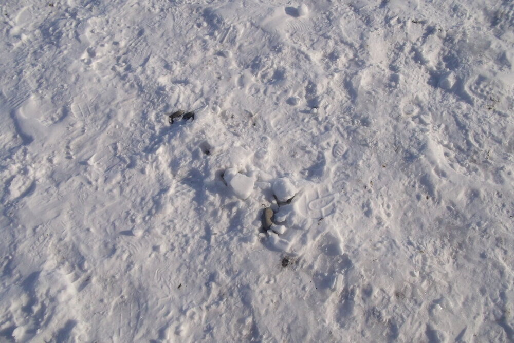 1-Зима-холода 2026 002.JPG