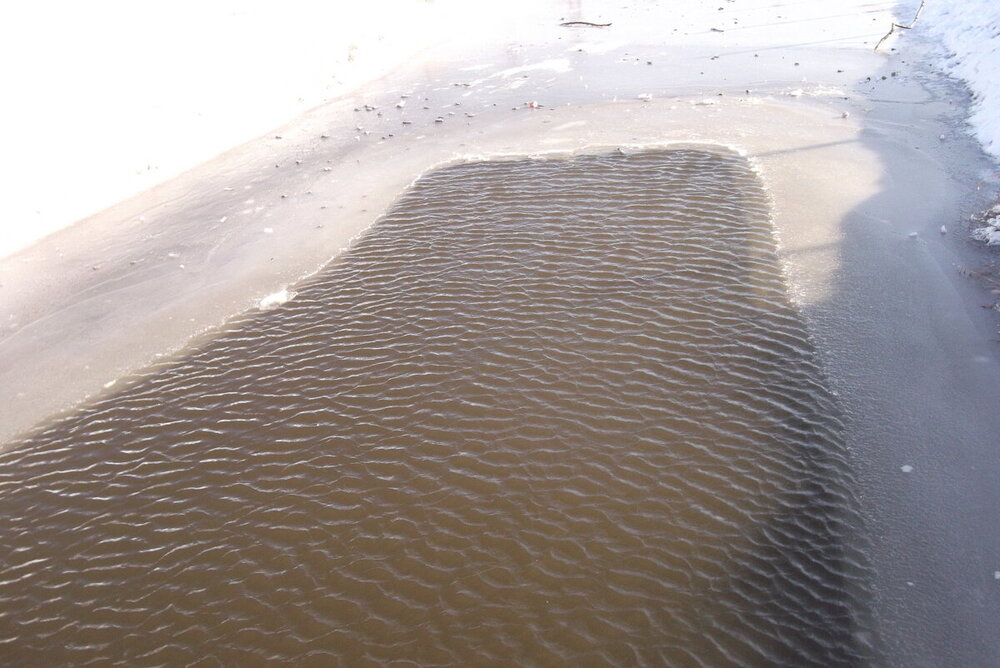 1-Зима-холода 2026 010.JPG