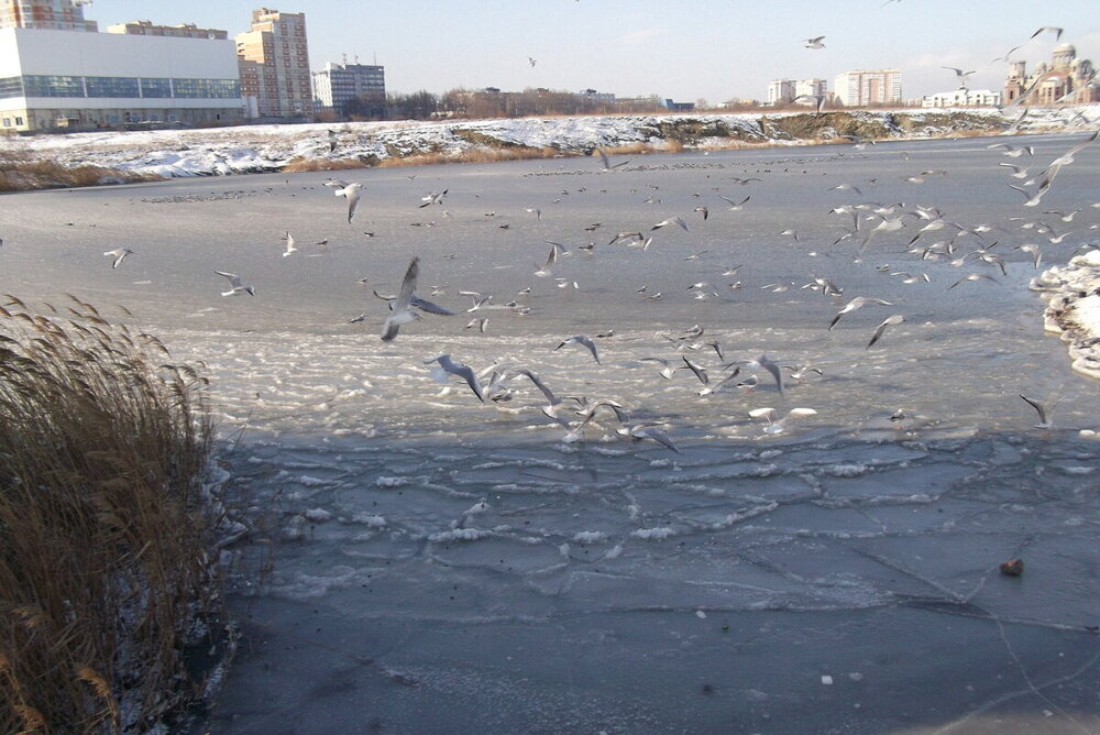 1-Зима-холода 2026 015.JPG