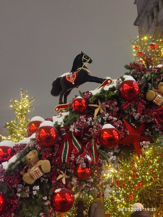 2026-01-06 19-35-49.JPG