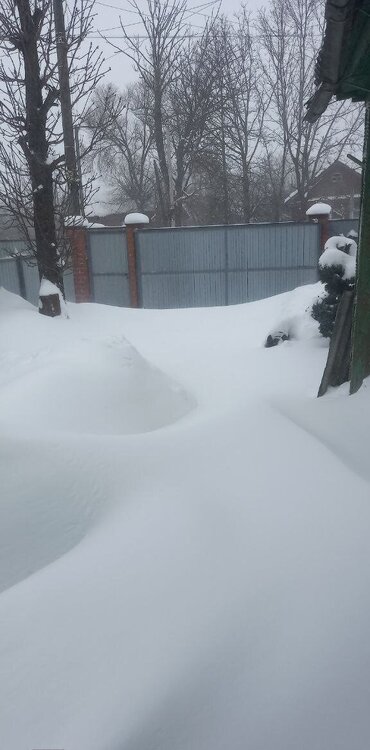 photo_2026-01-09_12-54-15 (5).jpg