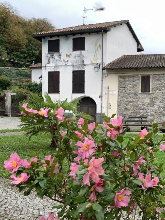 photo_2026-01-19_08-01-39 (2).jpg