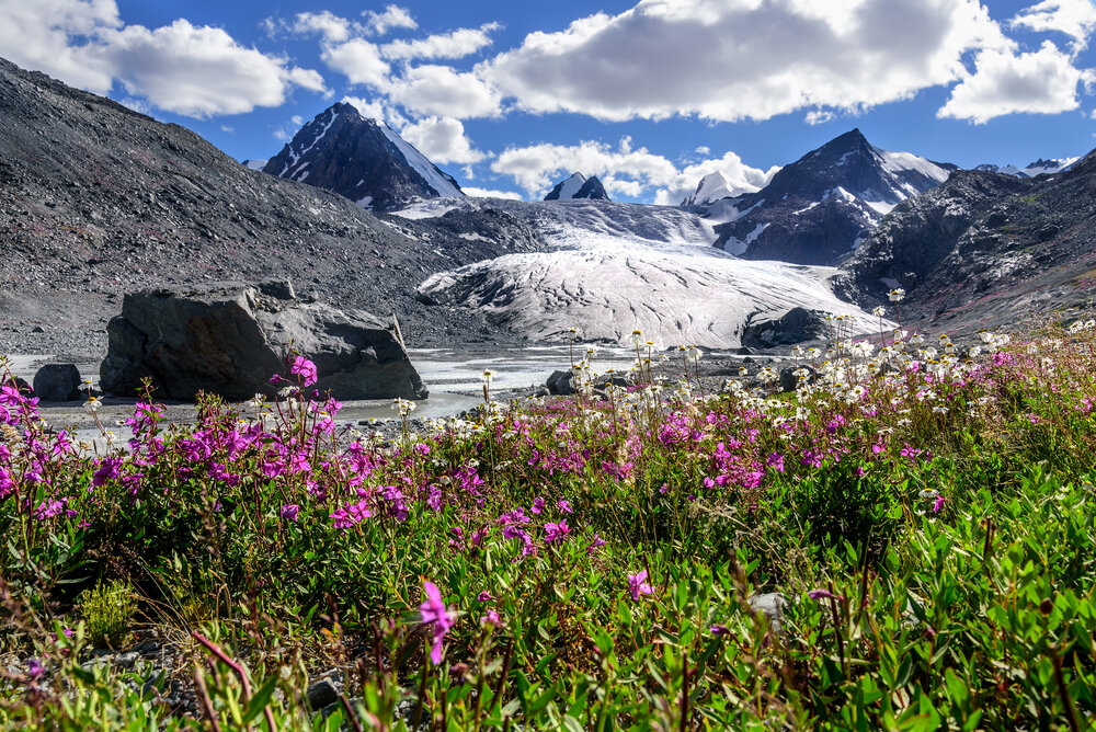 Sofia Glacier_Altay_shutterstock_684657652.jpg
