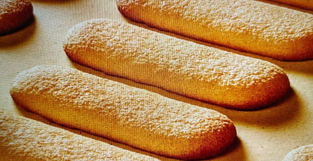 photo_2026-02-04_20-24-25 (2).jpg