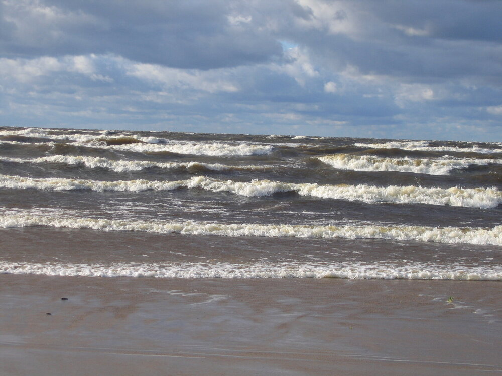 Рижский залив... а может Двина...,но ветренннннно (9).jpg