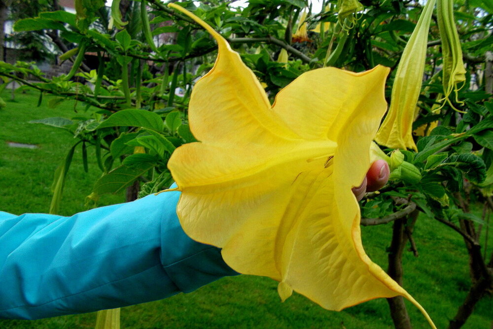 1-ТРАБЗОН-2023 649.JPG