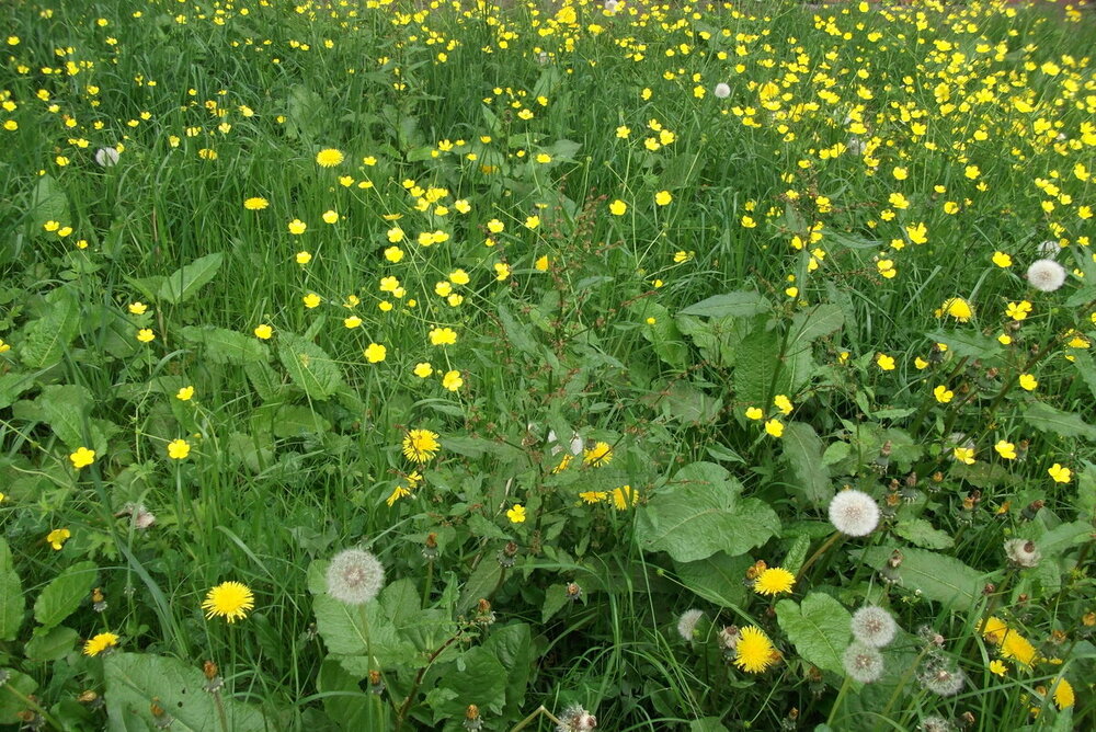 1-ТРАБЗОН-2023 859.JPG