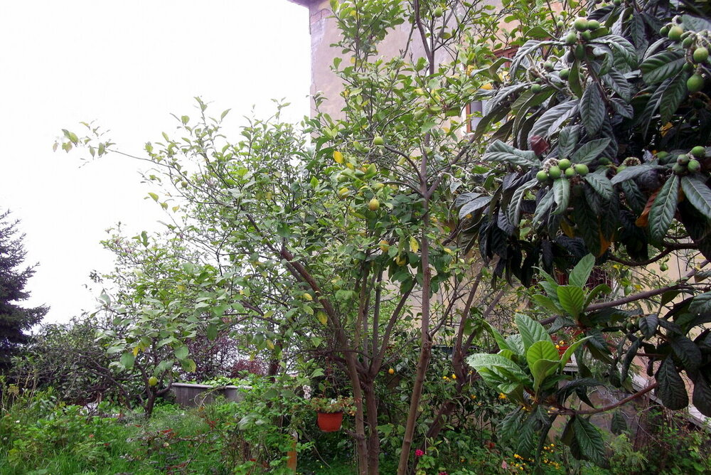 1-ТРАБЗОН-2023 879.JPG