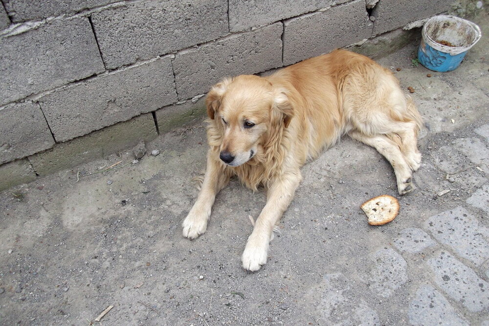 1-ТРАБЗОН-2023 915.JPG