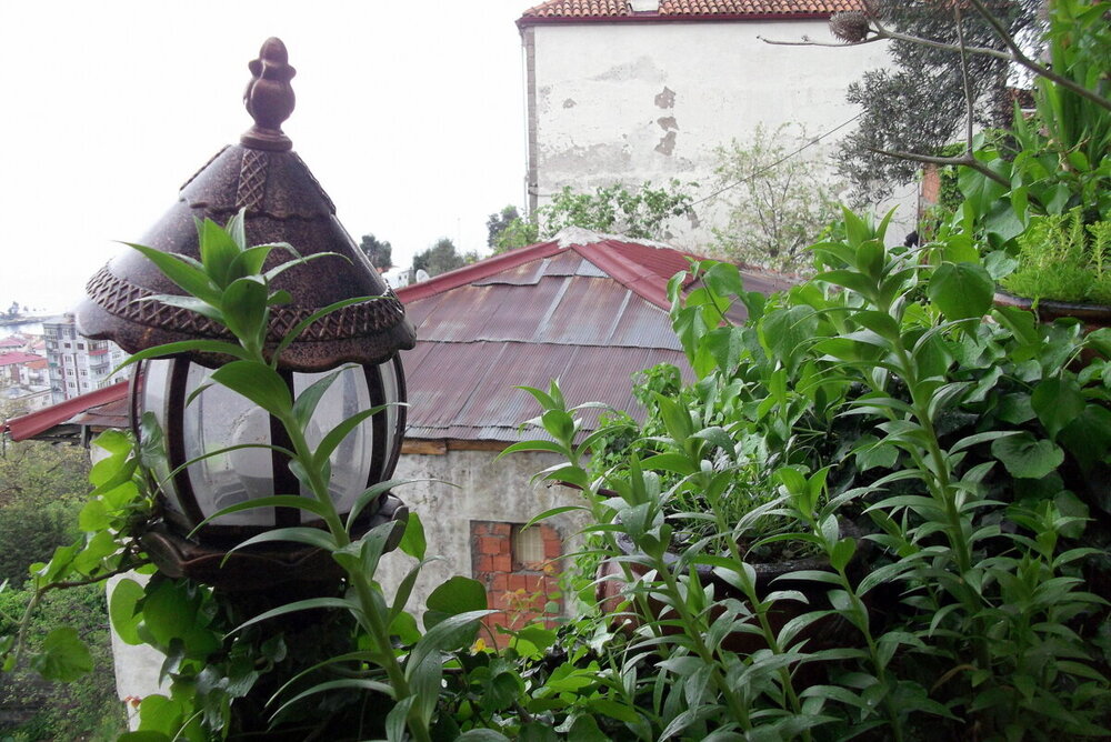 1-ТРАБЗОН-2023 931.JPG