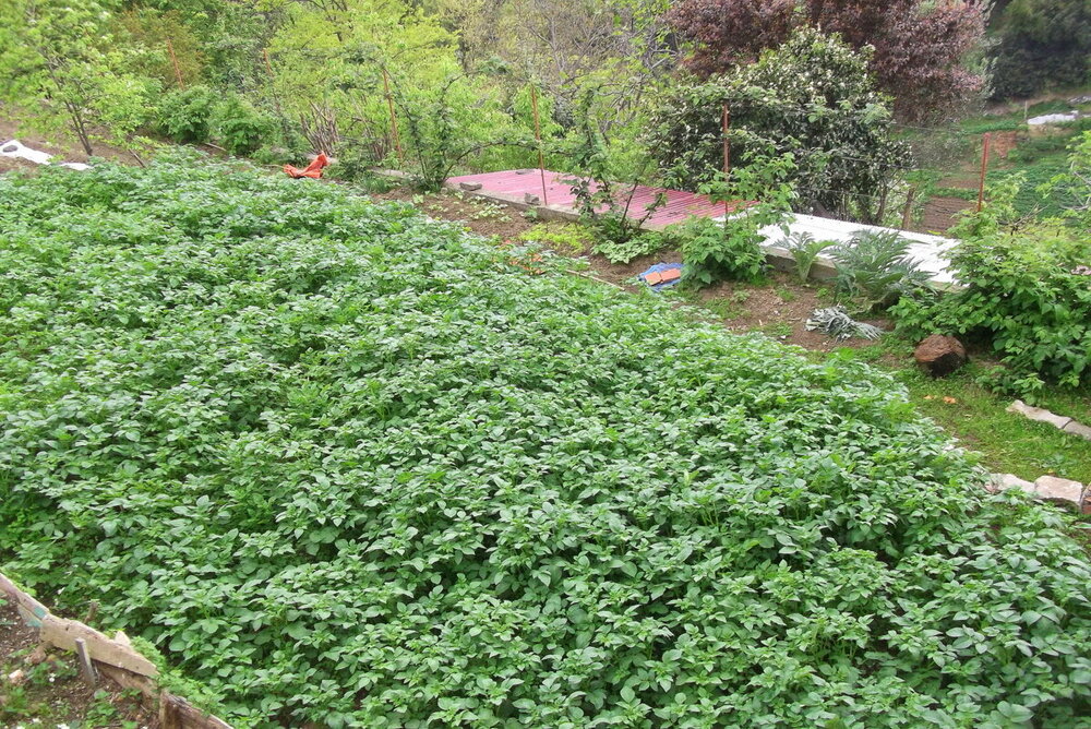 1-ТРАБЗОН-2023 943.JPG