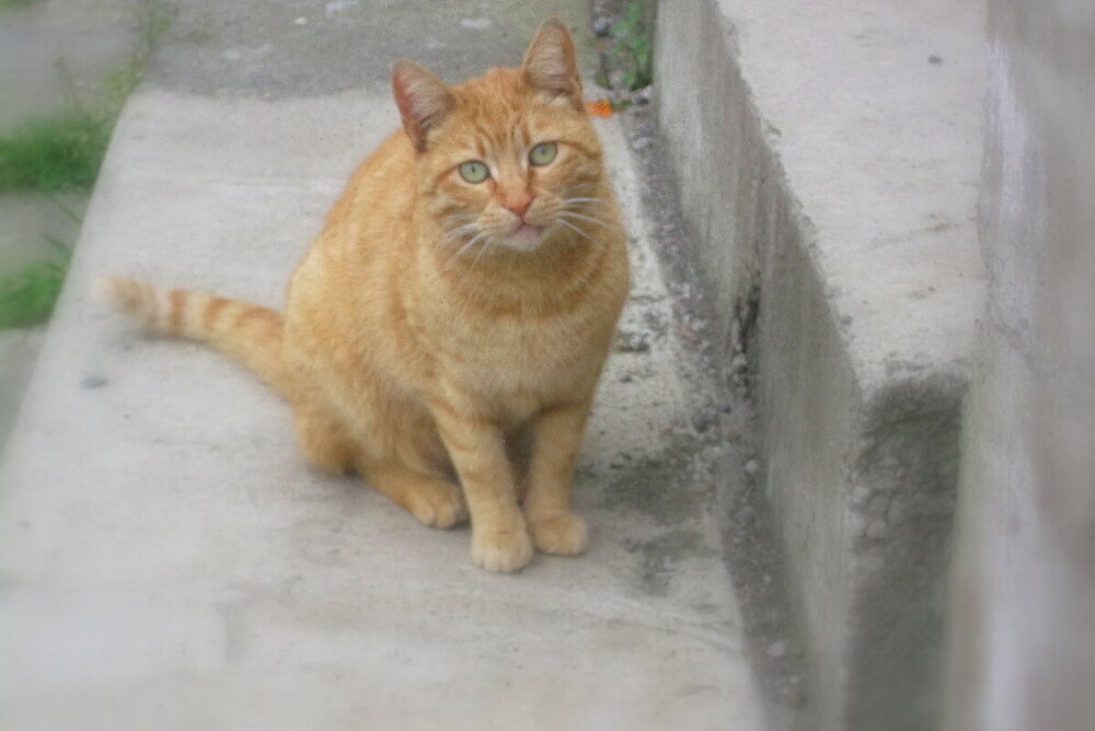 1-ТРАБЗОН-2023 955.JPG