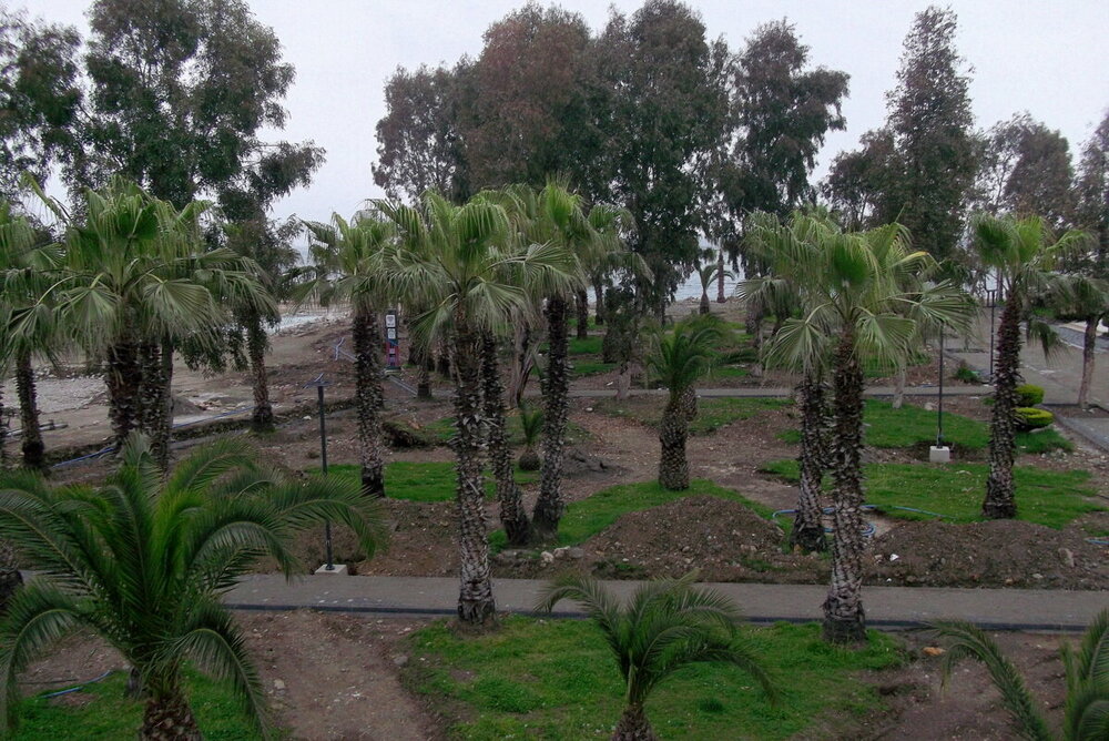 1-ТРАБЗОН-2023 973.JPG