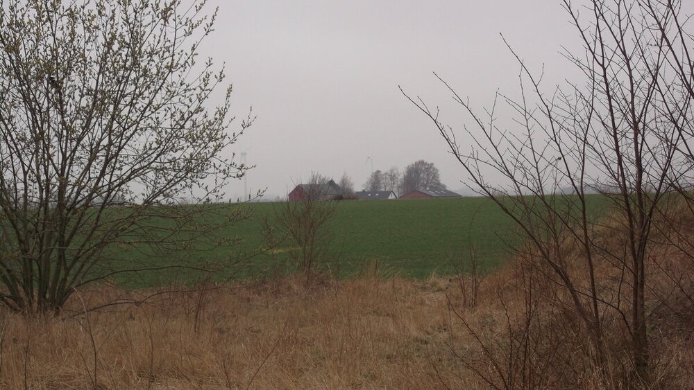 1-Мелодии балтийского ветра 2077.JPG