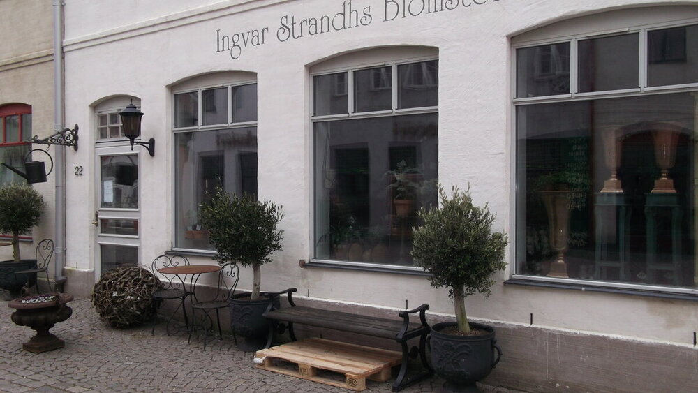 1-Мелодии балтийского ветра 2101.JPG