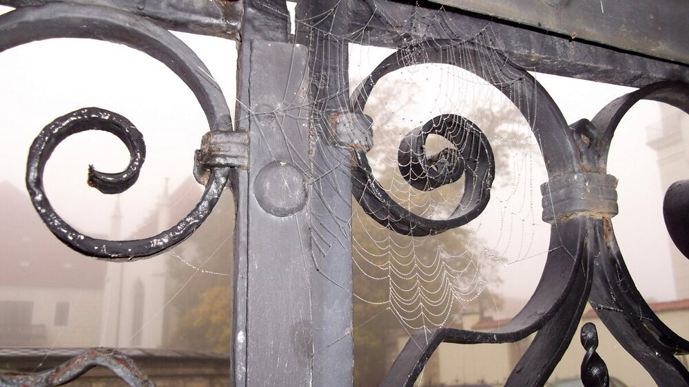 1-Курортная осень.Теплице 057.JPG