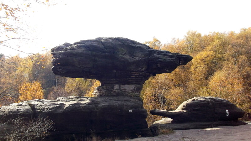 1-Курортная осень.Теплице 896.JPG