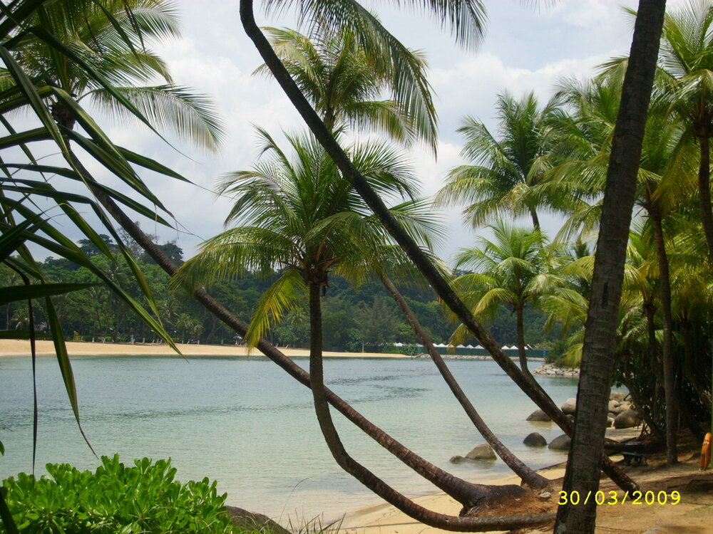 рекламник 1034.jpg