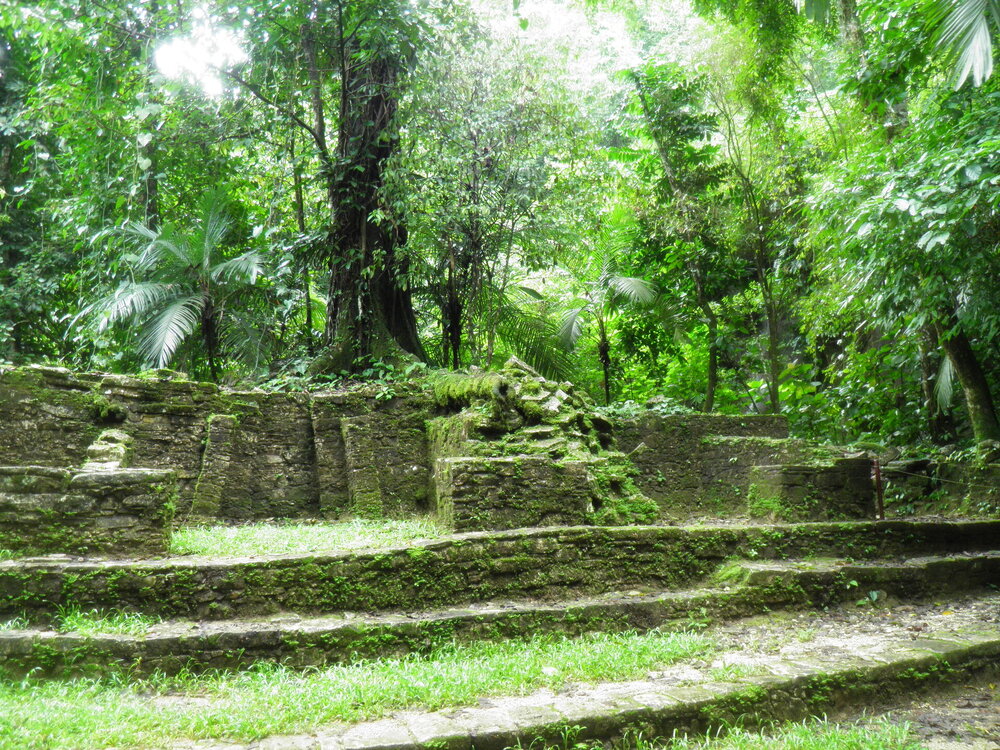 Паленке 1116.jpg