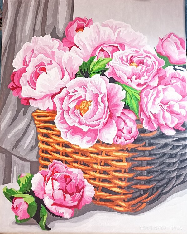 2023-01-24 15-54-23.JPG