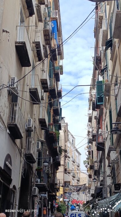 2024-09-25 13-12-22.JPG