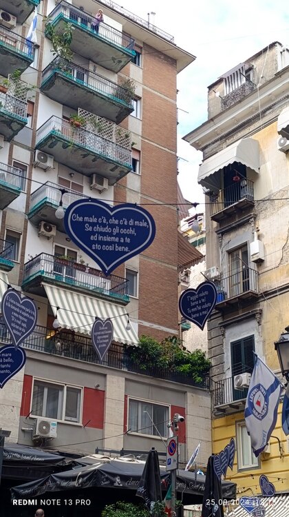 2024-09-25 13-13-28.JPG