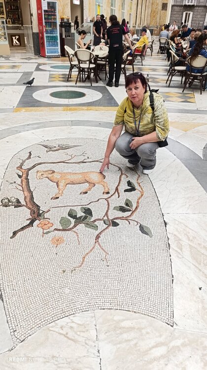 2024-09-25 13-24-31.JPG