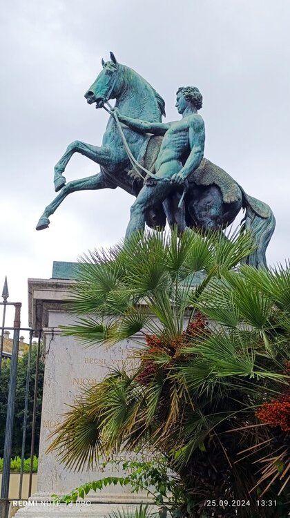 2024-09-25 13-31-29.JPG