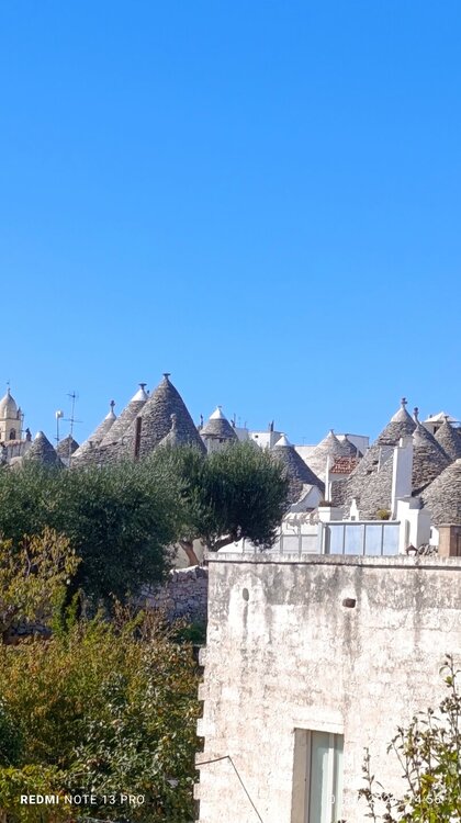 2024-10-01 14-56-24.JPG