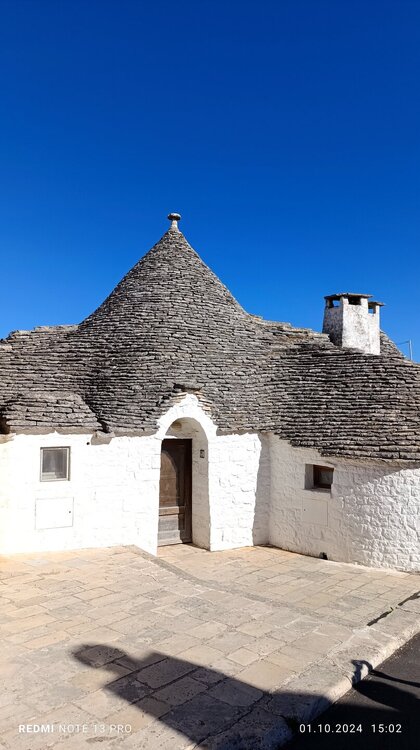 2024-10-01 15-02-47.JPG