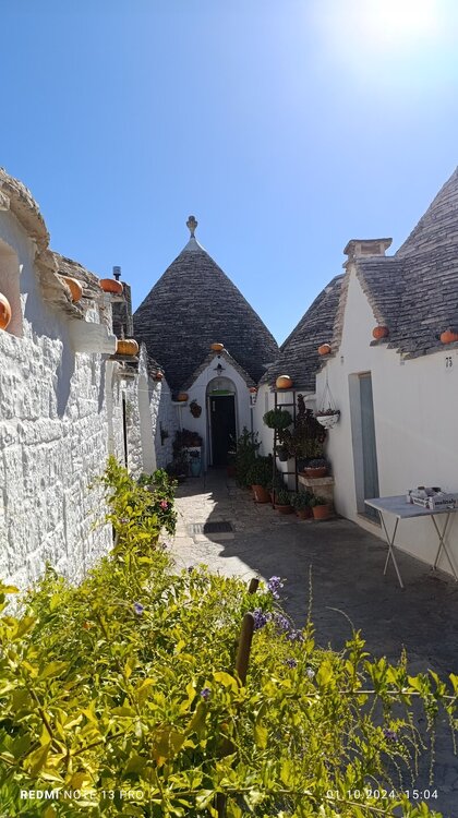 2024-10-01 15-04-55.JPG