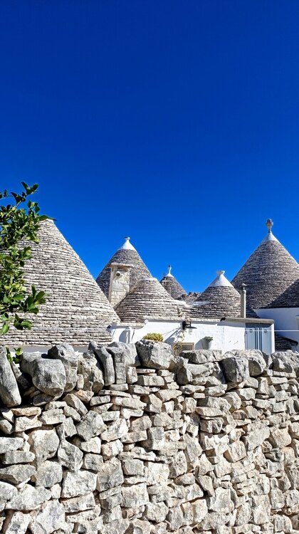 2024-10-01 15-05-50.JPG