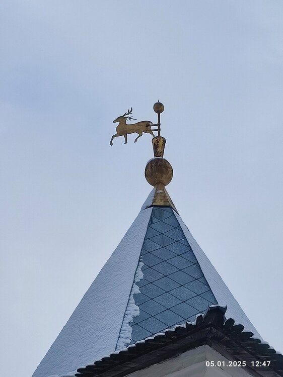 2025-01-05 12-47-19.JPG