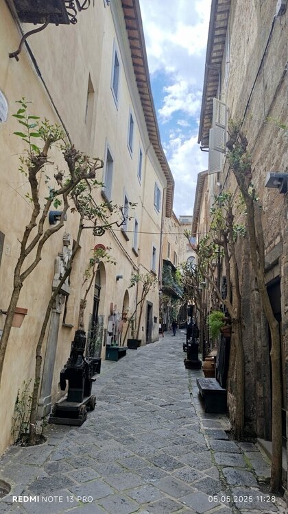 2025-05-05 11-28-27.JPG