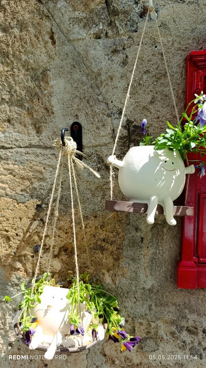 2025-05-05 11-54-00.JPG