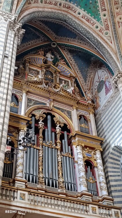 2025-05-05 12-25-07.JPG