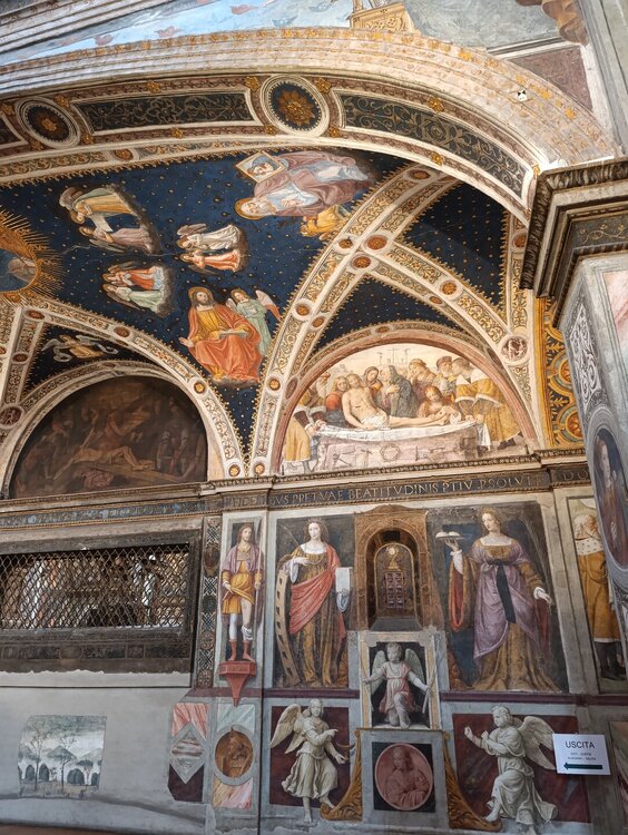 2026-02-11 12-36-06.JPG