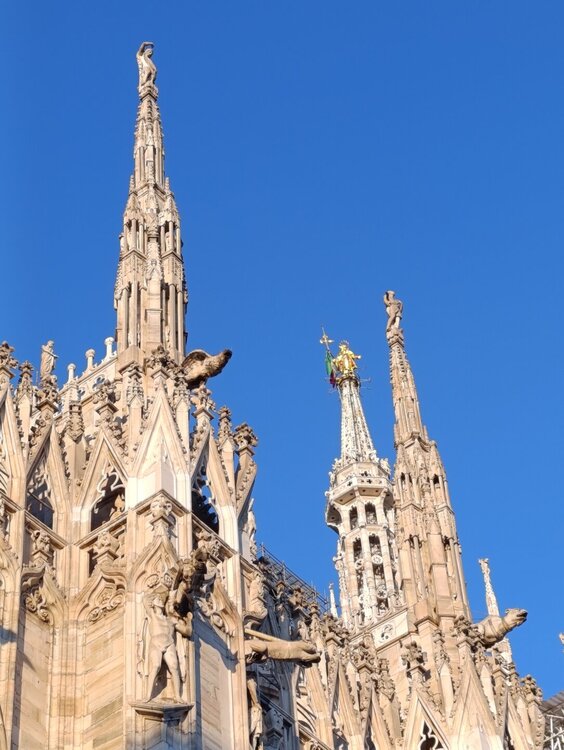 2026-02-11 17-02-40.JPG