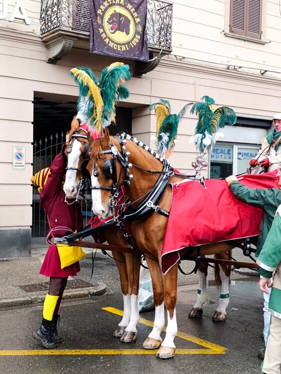 2026-02-16 13-04-16.JPG