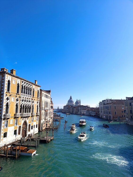 2026-02-17 11-25-04.JPG