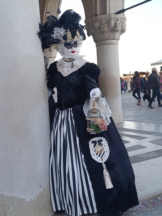 2026-02-17 17-24-51.JPG