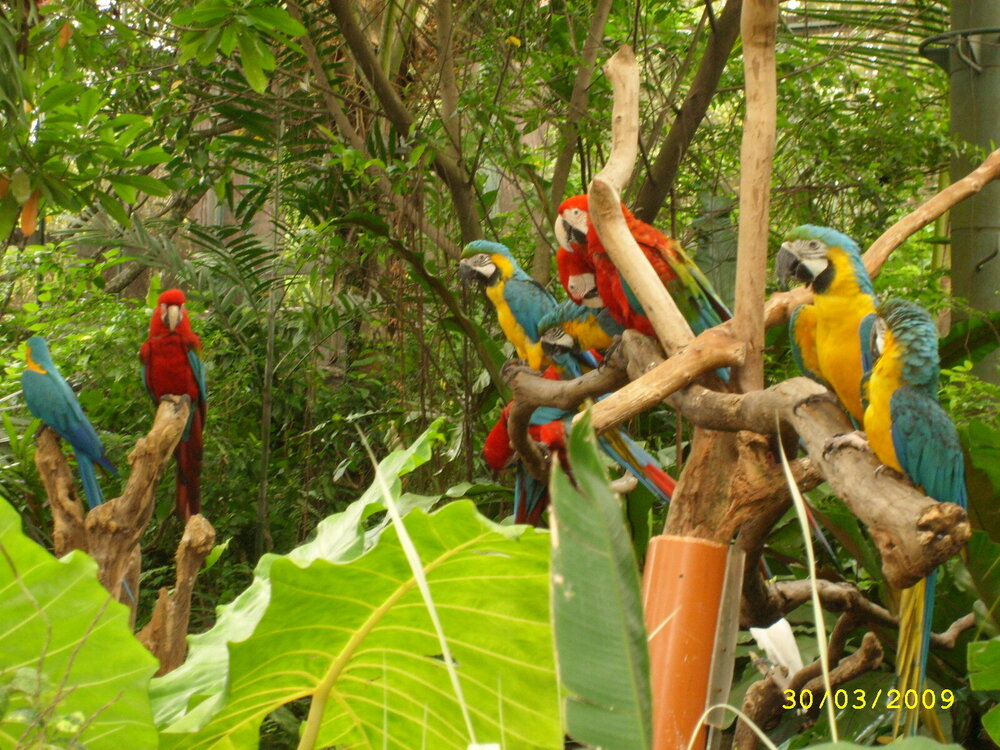 рекламник 608.jpg