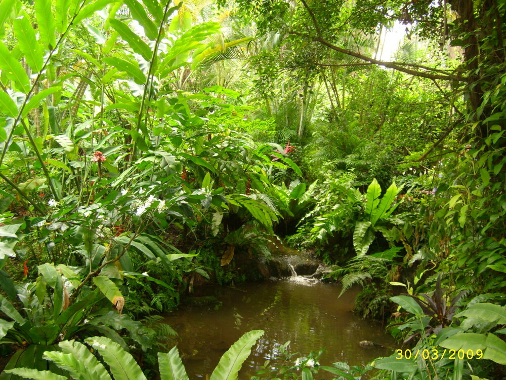 рекламник 684.jpg