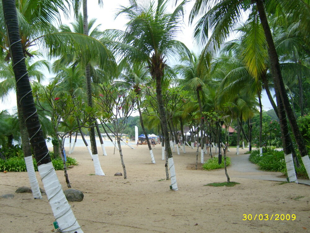 рекламник 896.jpg