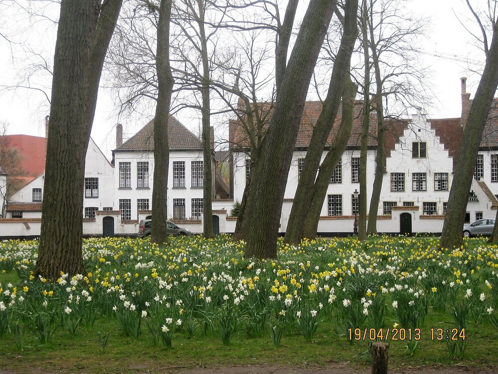 Изображение 974.jpg