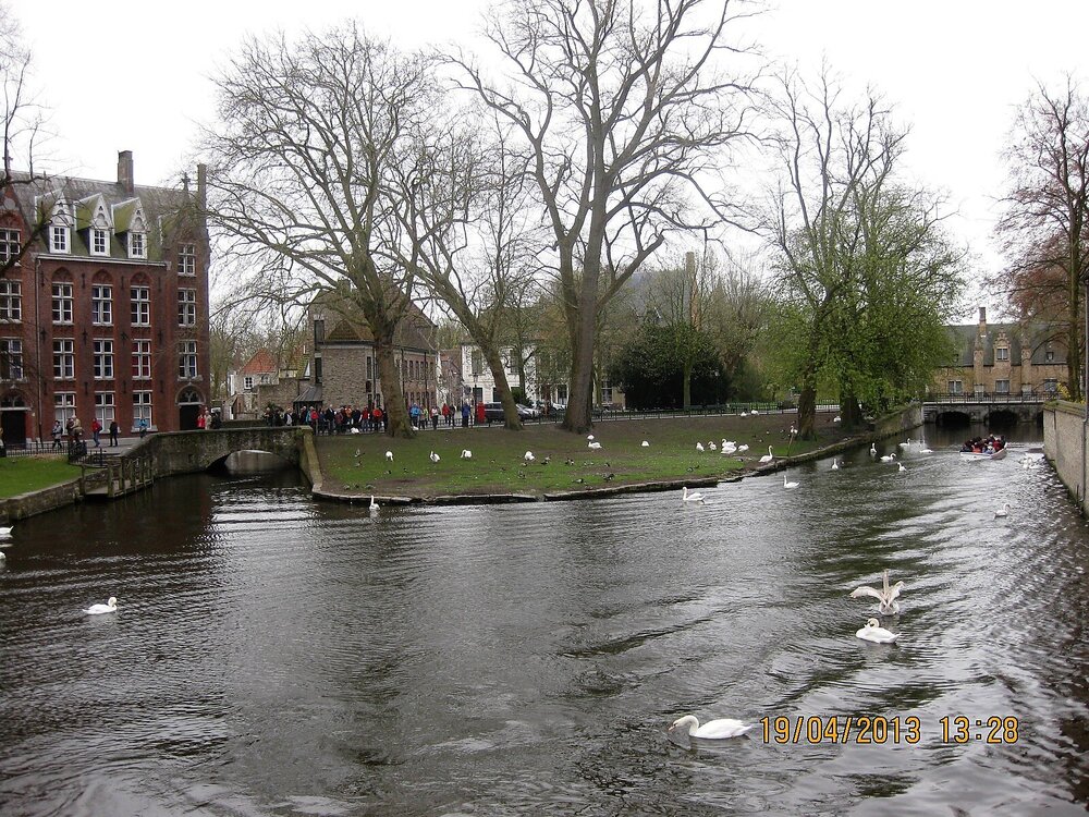 Изображение 979.jpg