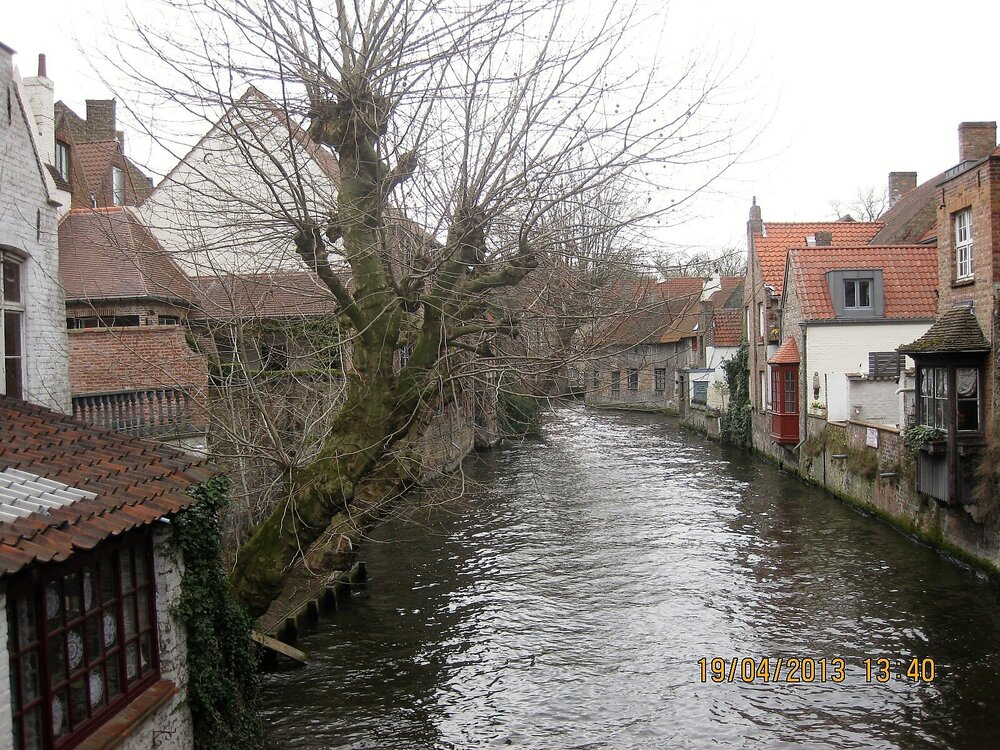 Изображение 994.jpg