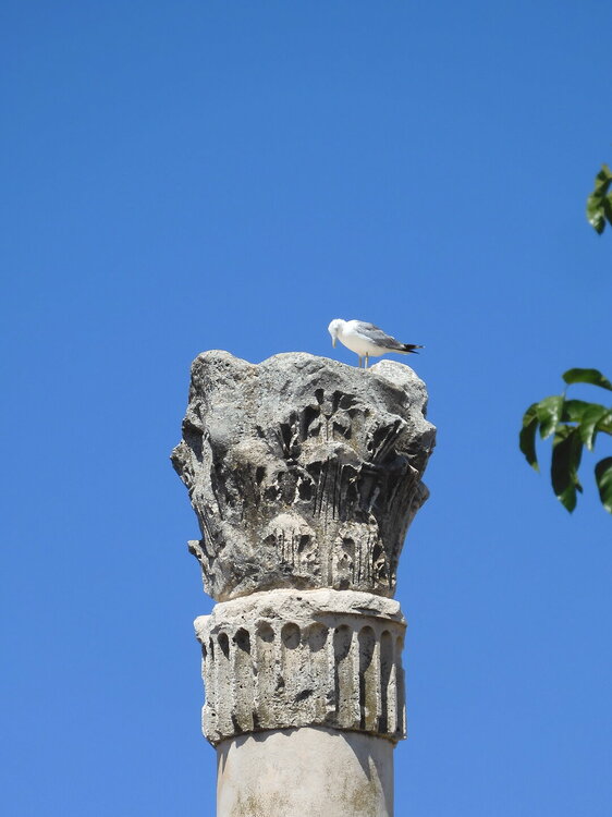 DSCN0277__1 (143).JPG