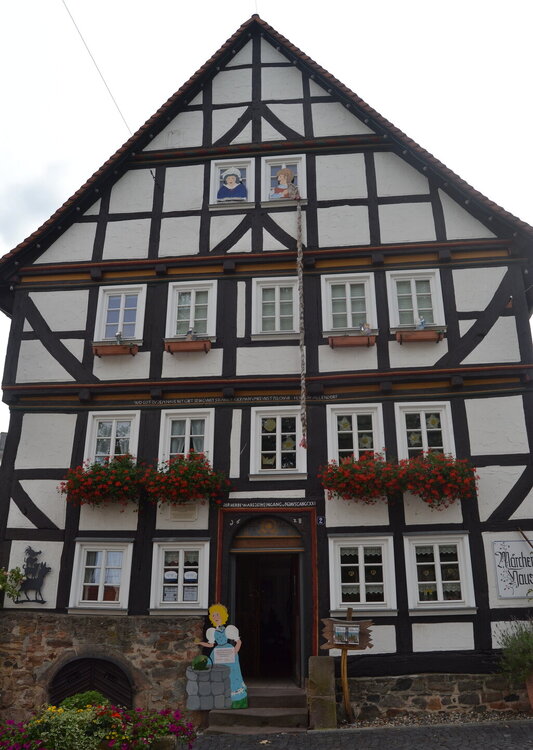 DSC_0493 — копия.JPG