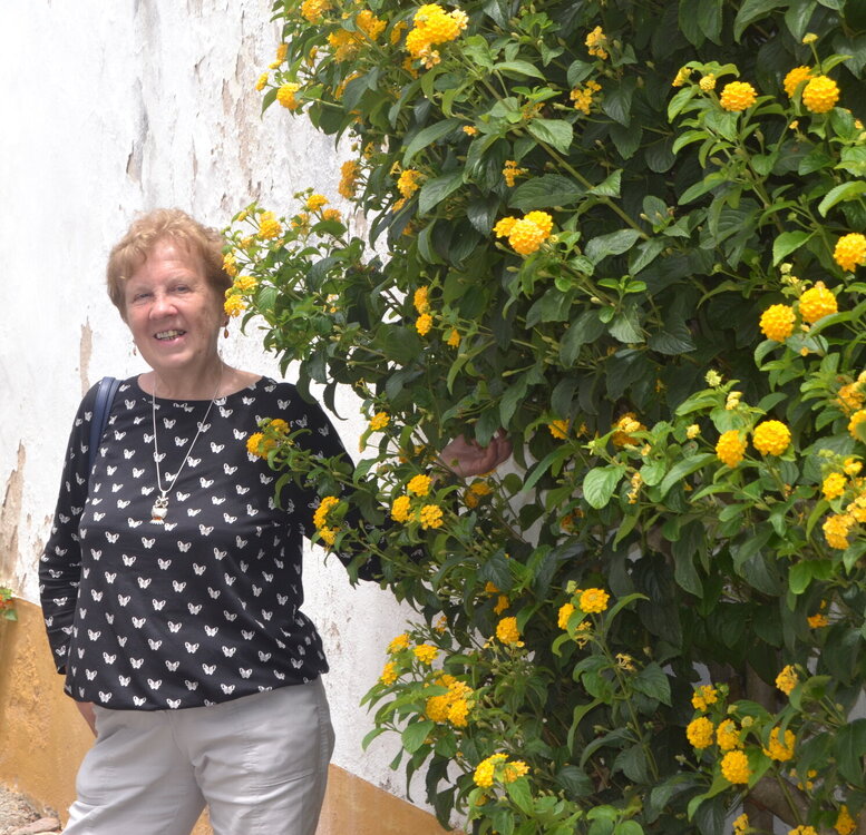 DSC_0790 — копия.JPG